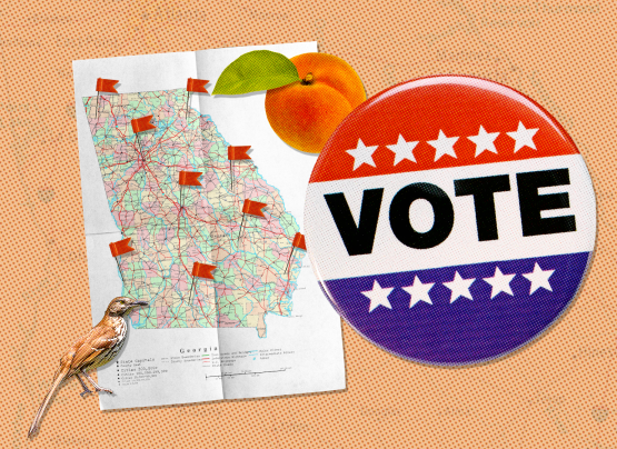 Early Vote Resources - The Georgia Voter Guide